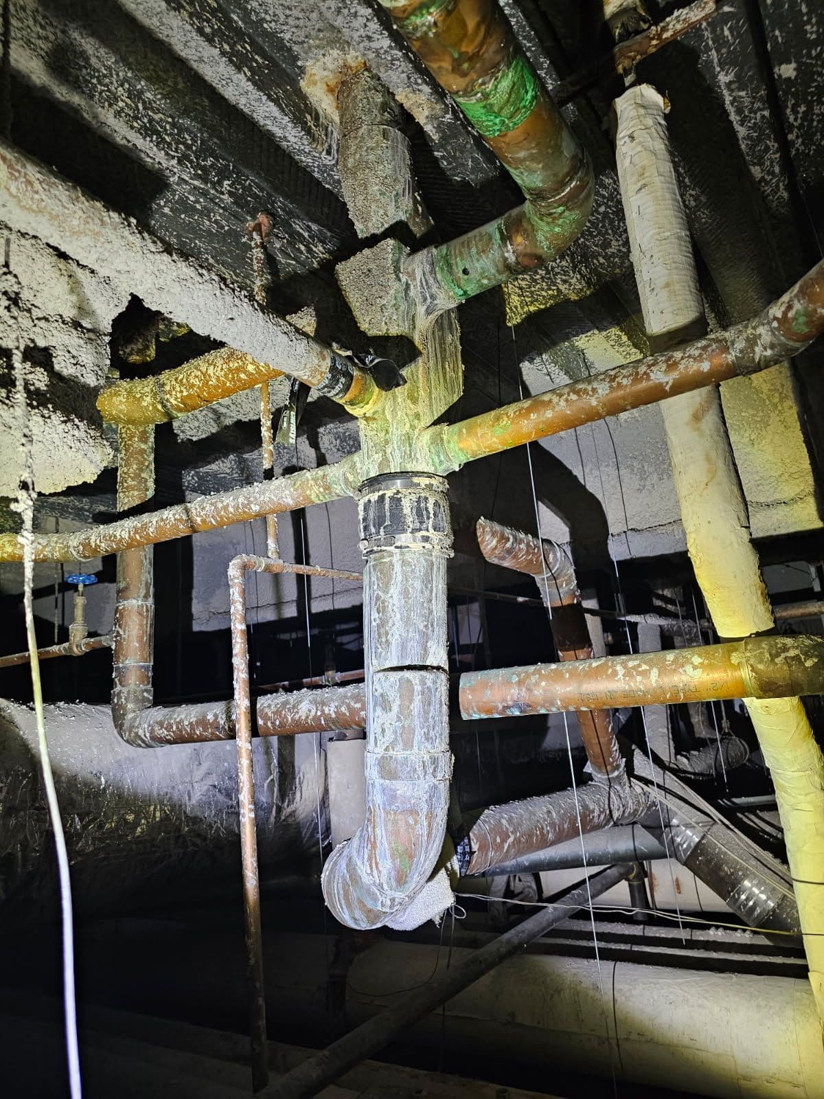 Project Expert Pipe Care and Plumbing Inspections image